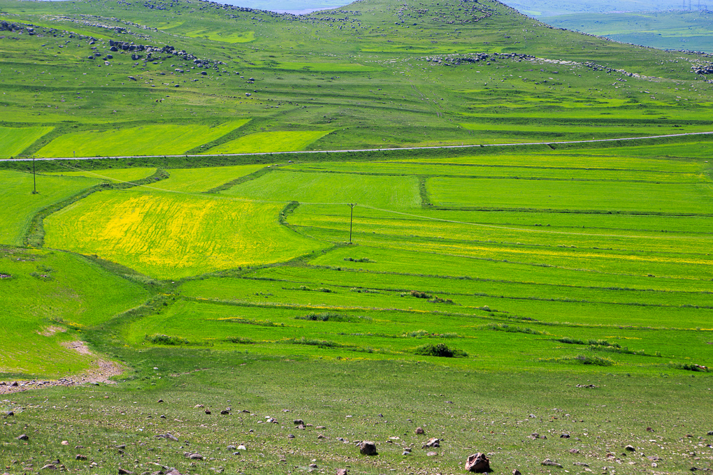 Akçakale